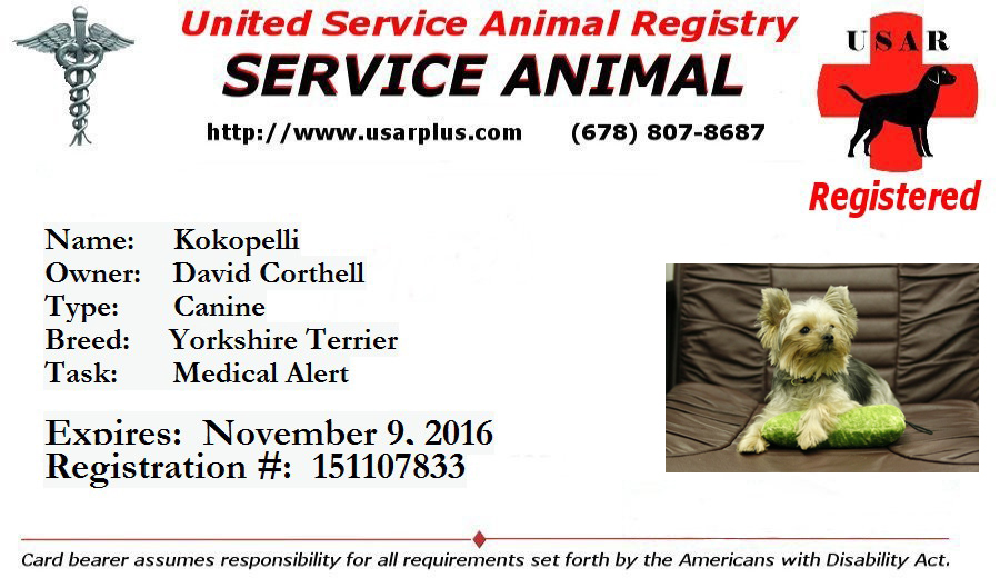  ~ United Service Animal Registry ~ Copyright© 2006-2022 ~ All  Rights Reserved